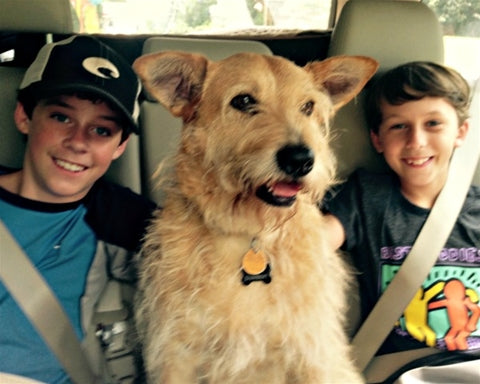 a sweet customer story: a dog named muddy