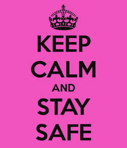 Muddy's Health & Safety Plan - March 2020