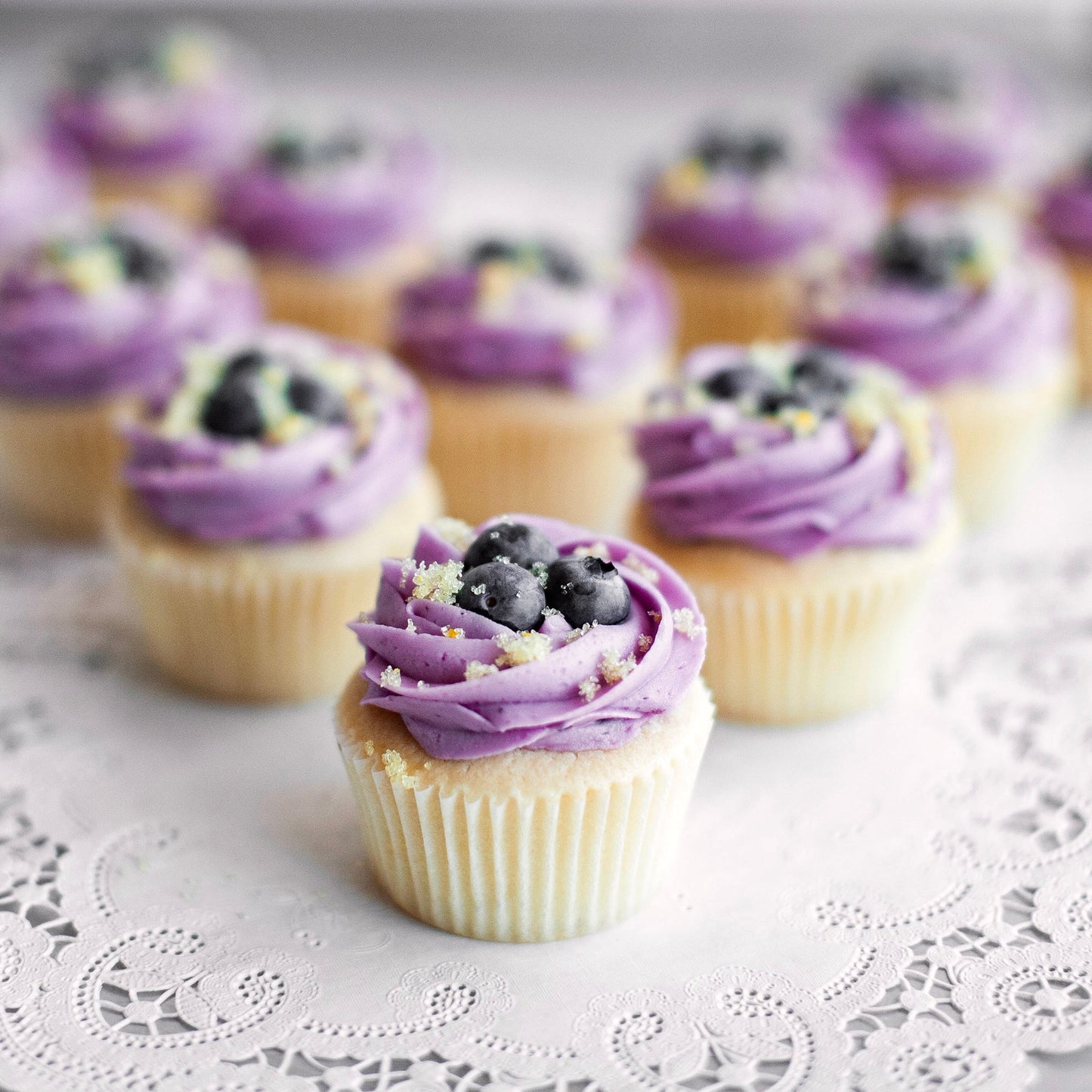 Blueberry Cupcakes: June & July Special