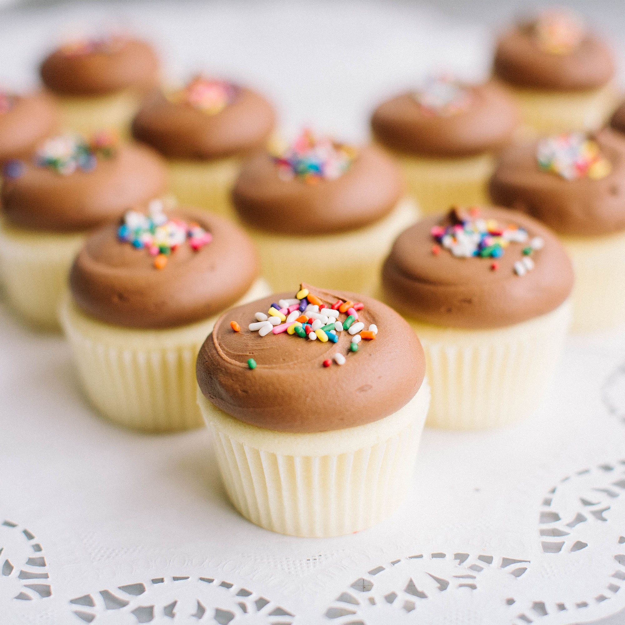 Mini Cupcakes – Muddy's Bake Shop