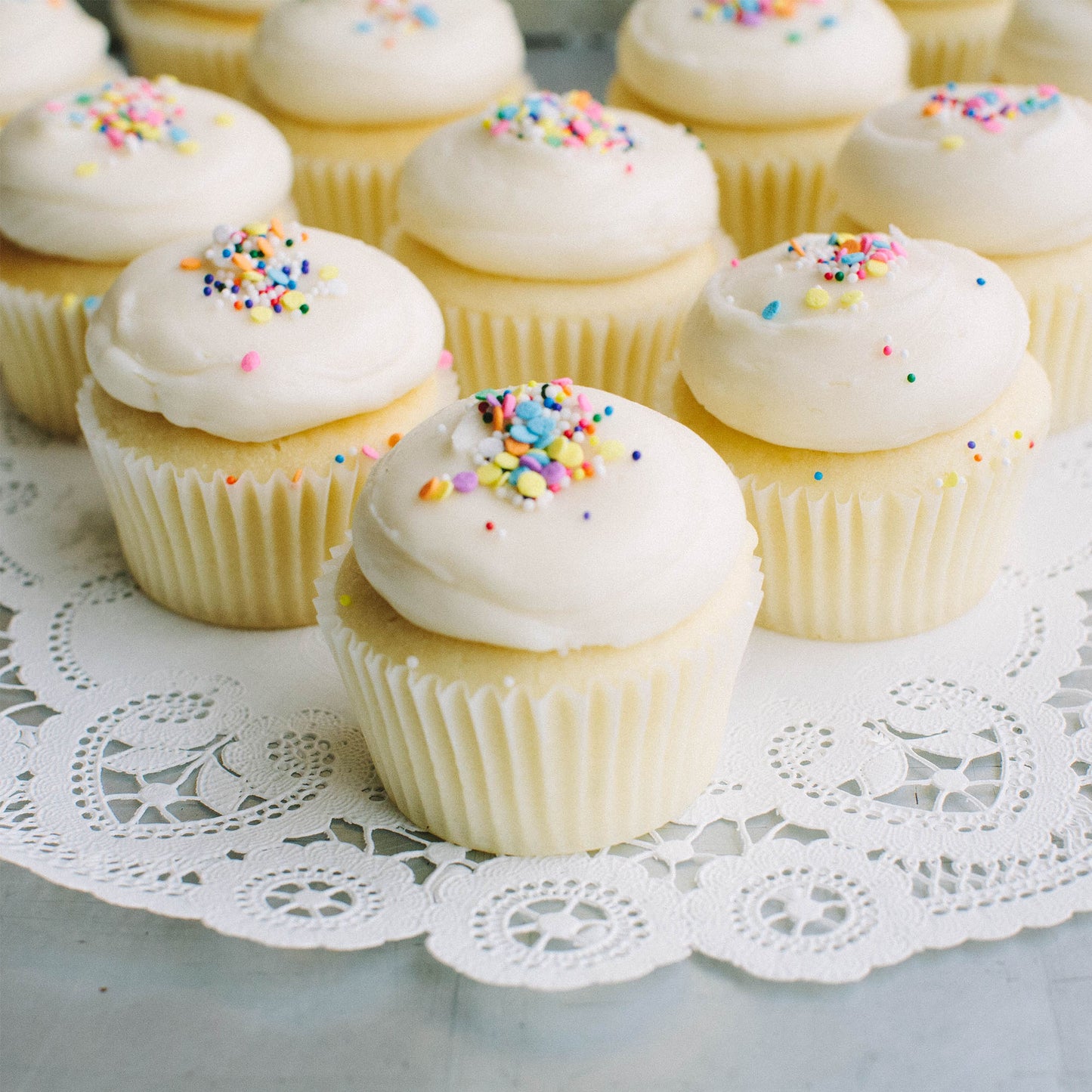 Plain Jane Cupcakes